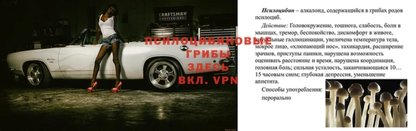 первитин Пестово