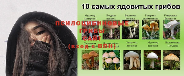 первитин Пестово