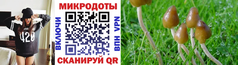 ОМГ ОМГ онион сколько стоит Бабаево Псилоцибиновые грибы Psilocybine cubensis